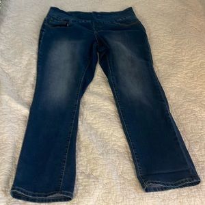 High Rise Straight Leg Jag Jeans